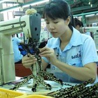 Chủ động nguồn nguyên liệu