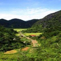 Vẻ đẹp mùa vàng ở bản Kho Mường