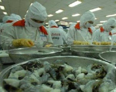Việt Nam vẫn dẫn đầu về xuất khẩu tôm sang Nhật
