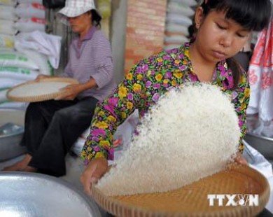 Campuchia-Thái Lan hợp tác xây dựng nhà máy xay xát gạo