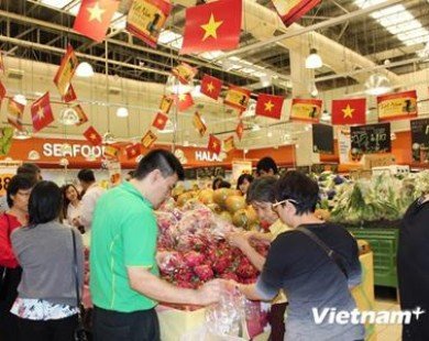 Doanh nghiệp Singapore - cầu nối cho hàng hoá Việt Nam