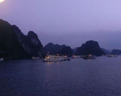 Câu mực đêm trên vịnh Hạ Long