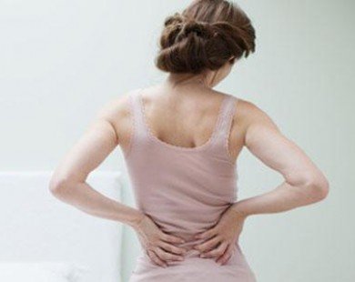 Trị đau lưng sau sinh hiệu quả từ ngải cứu