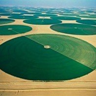 Thăm trang trại lạ lùng như của người ngoài hành tinh