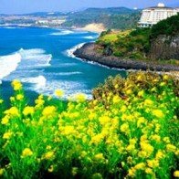 Các quốc gia và lãnh thổ miễn visa cho người Việt