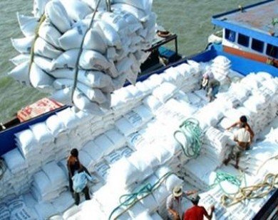Government pushes domestic rice exports