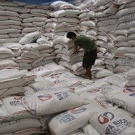 Philippines sẽ nhập khẩu thêm 250.000 tấn gạo