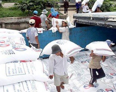 Bẫy nhập khẩu gạo từ Trung Quốc