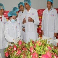 Phở lon Việt Nam đến Nhật