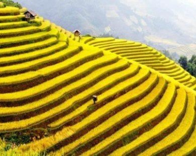 10 thắng cảnh du lịch hấp dẫn nhất Việt Nam
