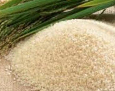 Xuất khẩu gạo Việt Nam 