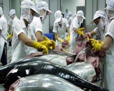 Seafood production sees steady growth in first 6 months