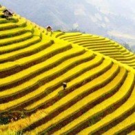 10 thắng cảnh du lịch hấp dẫn nhất Việt Nam