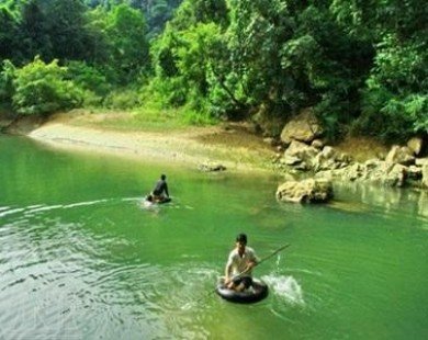The mystery of forests in Quang Binh