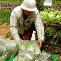 Thành phố Hồ Chí Minh: Thực phẩm tươi sống tăng giá đột biến