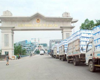 Vải thiều xuất khẩu qua cửa khẩu Lào Cai thuận lợi