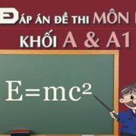 Đáp án đầy đủ mã đề thi môn Vật Lý khối A, A1 năm 2014