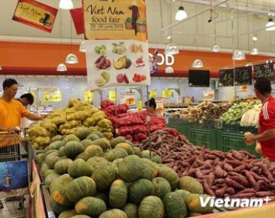 Kim ngạch xuất nhập khẩu Việt Nam và Singapore tăng 22,4%