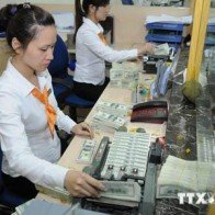 Ngân hàng Nhà nước: Tín dụng ngoại tệ tăng không đáng quan ngại
