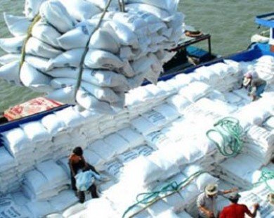 Xuất khẩu gạo: Thái Lan bỏ xa Việt Nam