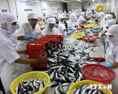 Tăng cường hợp tác thương mại thủy sản Việt Nam-Indonesia