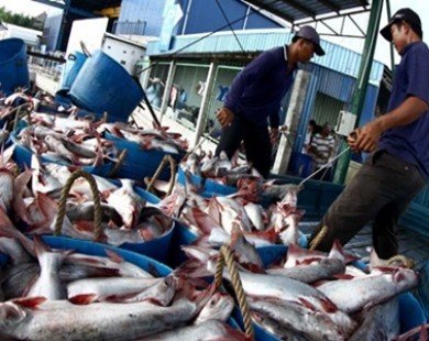 US revises anti-dumping duties on tra fish after review