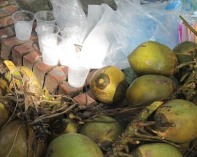 Nước dừa di động 5.000 đồng/cốc đắt khách mùa thi