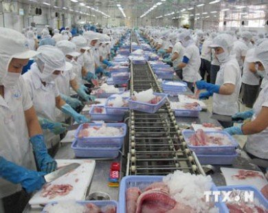 Mức thuế DOC áp dụng với cá tra Việt Nam vẫn bất hợp lý