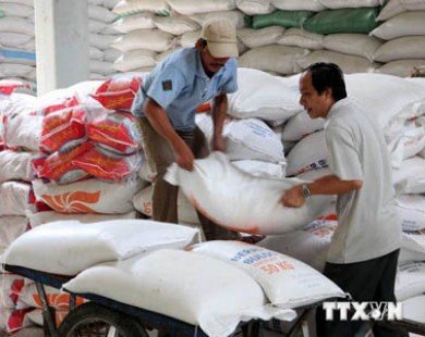 Xuất khẩu gạo cuối năm: Các thị trường truyền thống đang trở lại