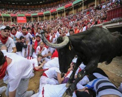 Lạ kỳ lễ hội bò tót rượt người ở Tây Ban Nha