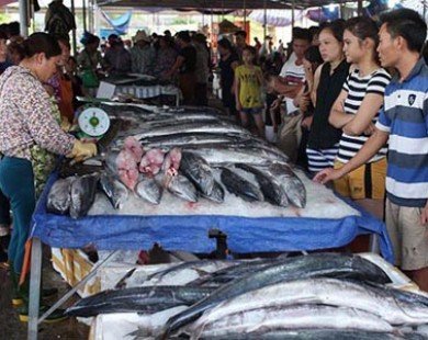 Cận cảnh chợ hải sản Cửa Lò