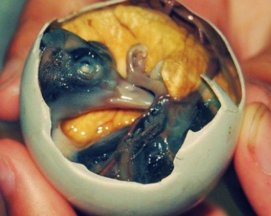 Trứng vịt lộn VN được xếp hạng món ăn kinh dị nhất hành tinh
