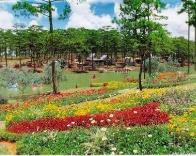 Tour du lịch rau và hoa hấp dẫn du khách tới Đà Lạt