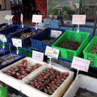 Giá xăng tăng, sức mua giảm