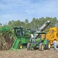 Giá đường Việt Nam cao nhất thế giới