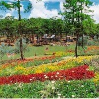 Tour du lịch rau và hoa hấp dẫn du khách tới Đà Lạt