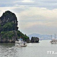 Du khách trong nước nghỉ đêm trên Vịnh Hạ Long gia tăng