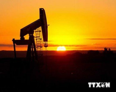 Nhu cầu năng lượng của Mỹ tăng, thị trường dầu bắt đầu 