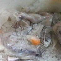 Mực ống bày bán trên vỉa hè ướp hóa chất lạ