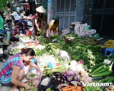 Người Hà Nội đổ xô đi mua thực phẩm tích trữ phòng bão