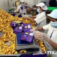 Đẩy mạnh xúc tiến thương mại, đa dạng thị trường xuất khẩu