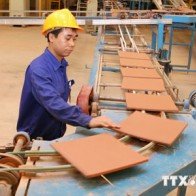 Viglacera xuất khẩu vật liệu xây dựng đạt trên 30 triệu USD