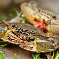 Ăn dặm: Bé 7 tháng đừng bỏ qua hải sản