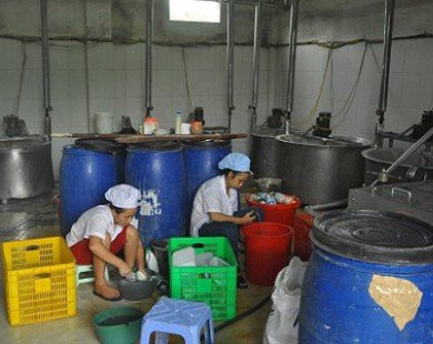 Ớn lạnh hình ảnh bên trong khu sản xuất sữa tươi