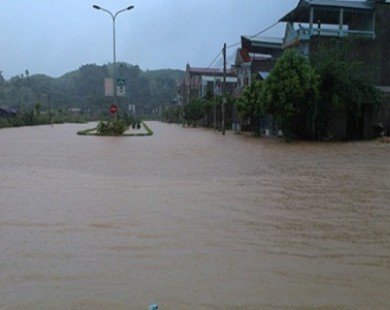 Typhoon leaves trail of destruction in northern provinces