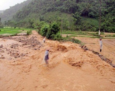 Typhoon causes heavy floods in northern provinces