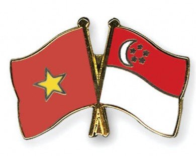 Kim ngạch thương mại Singapore-Việt Nam nửa đầu năm tăng 24%