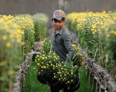 World Bank finance project benefits rural regions of Viet Nam