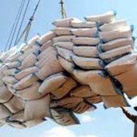 Chính phủ Indonesia công bố sẽ nhập khẩu 500.000 tấn gạo Việt Nam