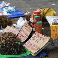 Thảo dược trôi nổi tiềm ẩn độc tố